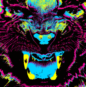 Tijger GIF. Dieren Tijger Gifs 