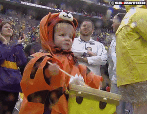 Tijger GIF. Dieren Gebit Tijger Gifs Gebrul Giftanden 