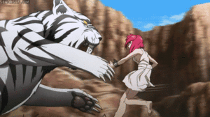 Tijger GIF. Dieren Tijger Gifs 