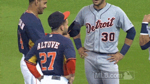 Tijger GIF. Dieren Natuur Tijger Gifs Koel 