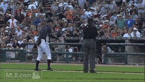 Tijger GIF. Dieren Tijger Gifs 