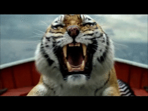 Tijger GIF. Dieren Natuur Tijger Gifs Koel 