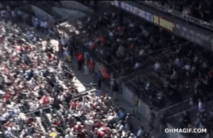 Tijger GIF. Dieren Tijger Gifs Pandasproblems 