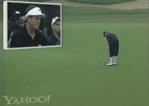 Tijger GIF. Dieren Zwemmen Tijger Gifs Onderwater 