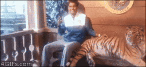 Tijger GIF. Dieren Tijger Gifs 