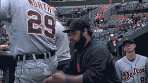 Tijger GIF. Dieren Tijger Gifs 