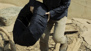 Tijger GIF. Dieren Water Tijger Blauw Gifs Dier 
