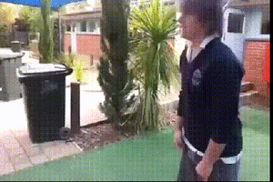 Tijger GIF. Dieren Zwemmen Tijger Gifs Onderwater 
