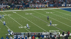 Tijger GIF. Dieren Natuur Tijger Gifs Dier Dieren+in+het+wild 