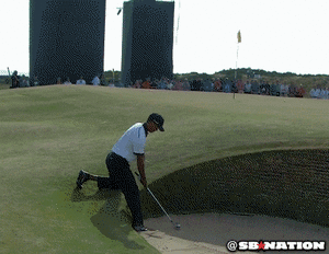 Tijger GIF. Dieren Tijger Gifs Dier 