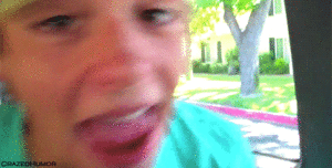 Tijger GIF. Dieren Spelen Tijger Gifs Hond 