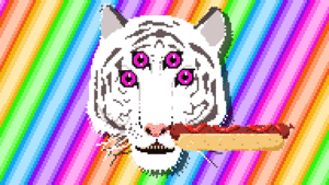 Tijger GIF. Dieren Tijger Gifs Hipsta 
