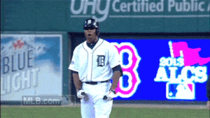 Tijger GIF. Dieren Tijger Gifs 