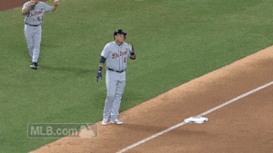 Tijger GIF. Dieren Tijger Gifs 