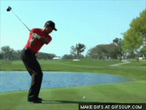 Tijger GIF. Dieren Tijger Gifs Grommen Welp 