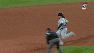 Tijger GIF. Dieren Kat Tijger Gifs 