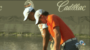 Tijger GIF. Dieren Tijger Gifs 