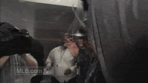 Tijger GIF. Dieren Dromen Tijger Gifs 