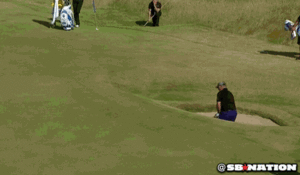 Tijger GIF. Dieren Tijger Gifs 