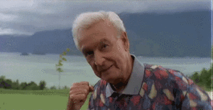 Tijger GIF. Dieren Ogen Tijger Gifs Opgewonden Gebrul Grommen Kooi 