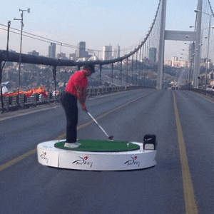 Tijger GIF. Dieren Golf Tijger Gifs 