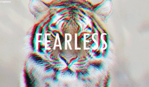 Tijger GIF. Dieren Tijger Gifs 