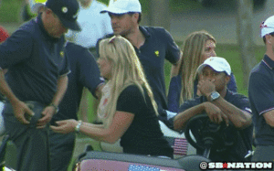 Tijger GIF. Dieren Tijger Gifs Achterdochtig Poot Klauwen 