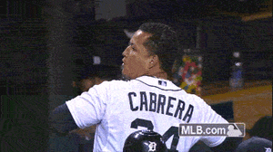 Tijger GIF. Dieren Golf Tijger Gifs 