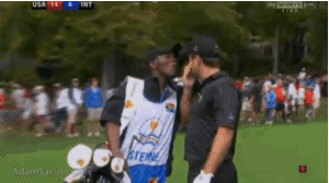 Tijger GIF. Dieren Tijger Gifs 