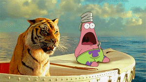 Tijger GIF. Dieren Tijger Gifs Dier 