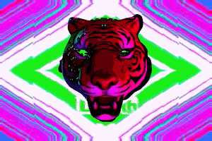 Tijger GIF. Dieren Tijger Gifs Dier 