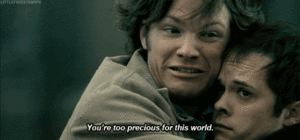 Tijger GIF. Dieren Leeuw Tijger Gifs 