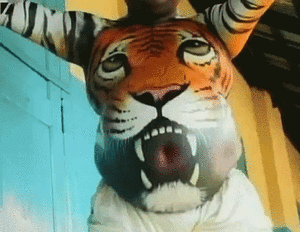 Tijger GIF. Dieren Water Ogen Tijger Boot Gifs 