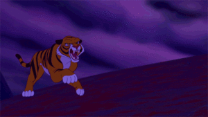 Tijger GIF. Dieren Tijger Gifs Ontspannend Knipperen Chilling Bakkebaarden 