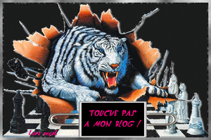 Tijger GIF. Dieren Kunst Tijger Gifs Animatie Illustratie Tekening Illustrator 