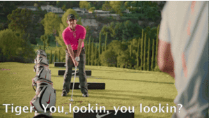 Tijger GIF. Dieren Zwemmen Water Tijger Gifs Poten 
