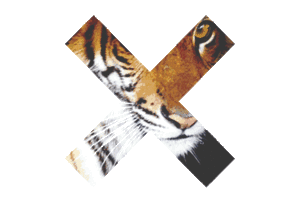 Tijger GIF. Dieren Tijger Gifs Hipsta 