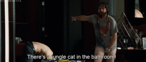 Tijger GIF. Dieren Dromen Tijger Gifs 