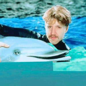 Tijger GIF. Dieren Tijger Gifs 
