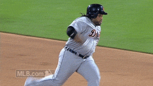 Tijger GIF. Dieren Melk Tijger Gifs Welp 