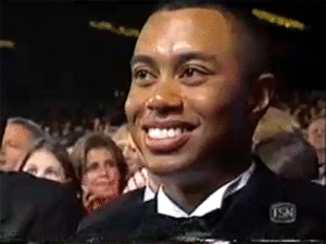 Tijger GIF. Dieren Tijger Gifs 