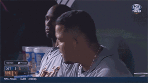 Tijger GIF. Dieren Water Tijger Blauw Gifs Dier 