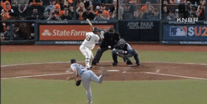 Tijger GIF. Dieren Leeuw Tijger Gifs 