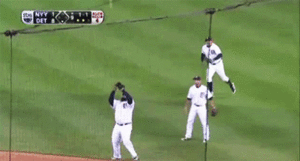 Tijger GIF. Dieren Tijger Gifs 