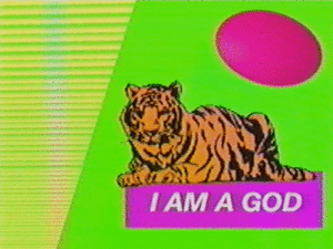 Tijger GIF. Dieren Tijger Gifs 