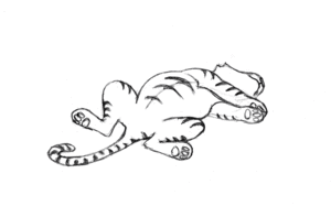 Tijger GIF. Dieren Zwemmen Schattig Water Tijger Gifs Critter 