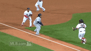 Tijger GIF. Dieren Tijger Gifs Grommen Welp 