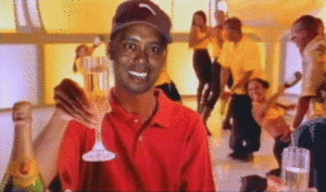 Tijger GIF. Dieren Natuur Tijger Gifs 