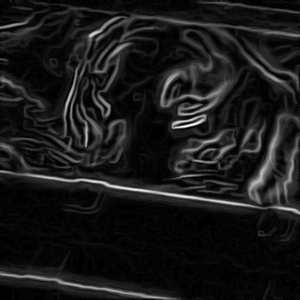 Tijger GIF. Dieren Tong Tijger Gifs Majestueus 