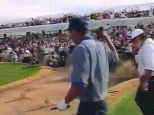 Tijger GIF. Dieren Tijger Gifs 